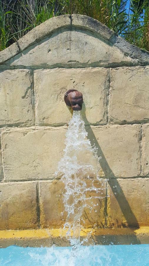 LʼIsle-sur-la-Sorgue Le Jas Des Parpaillous 아파트 외부 사진